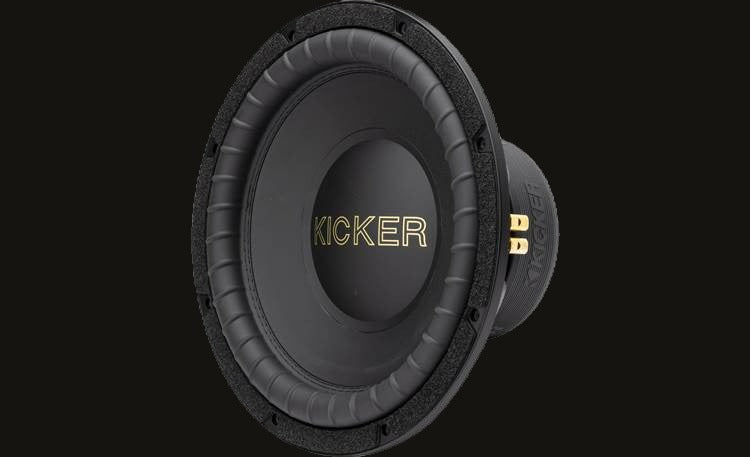 Kicker Comp Gold 12 image 4